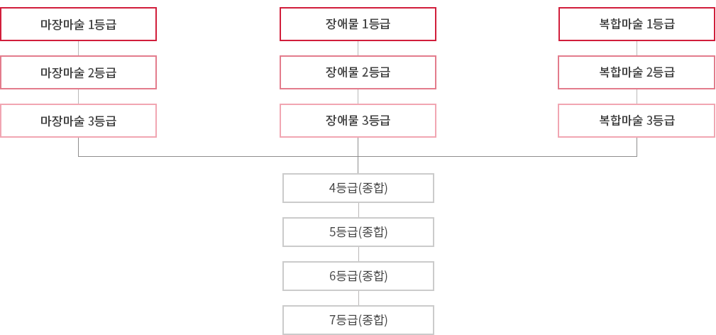 인증 등급 체계도 소개도: 인증등급은 마장마술, 장애물, 복합마술 3가지 체계가 있다. 각 등급은 1등급부터 3등급까지 있으며 이하 4등급부터 7등급은 종합등급이다.