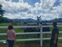 말 요양소 지역민 연계 활동