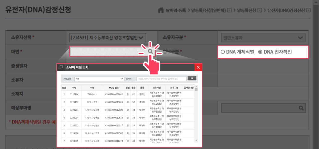 신청할 마필을 조회하여 적용한 후 DNA개체식별 또는 DNA 친자확인 중 선택