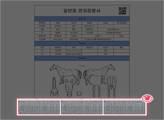 인터넷을 통해 발급한 전자증명서 하단의 3분할된 바코드 확인