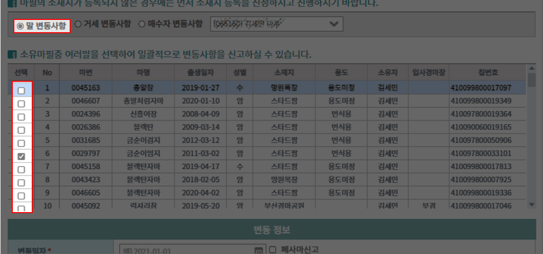 말 변동사항 체크 후 소유마필 중 일괄처리 할 말들을 선택