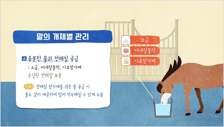 말의 개체별 관리 4 충분한 물과 전해질 공급 : 소금, 미네날블럭, 사료첨가제 손실된 전해질 보충 TIP전해질 첨가제를 섞은 물 공급 시 물도 같이 제공하여 말이 익숙해질 수 있게 도움