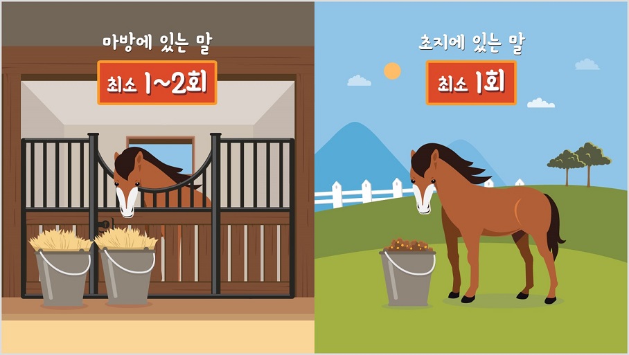 마방에 있는 말 최소 1~2회 초지에 있는 말 최소 1회