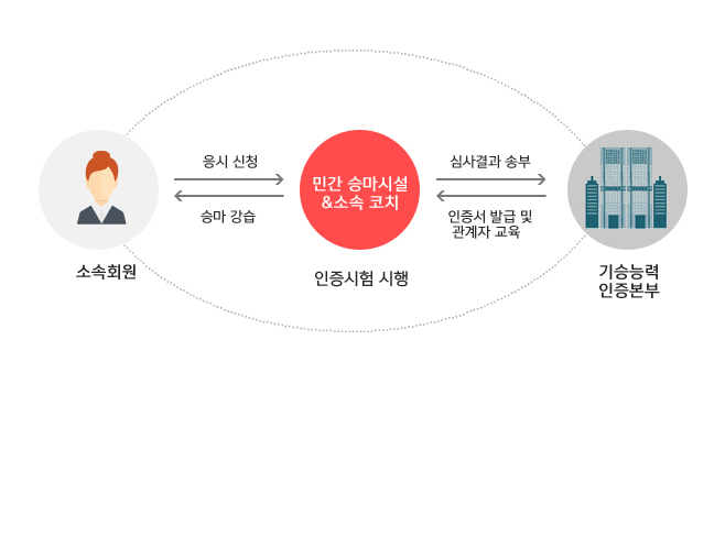 포니등급 체계도